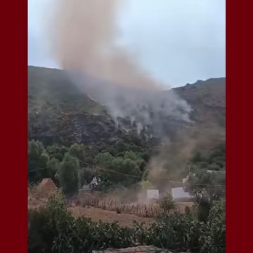 00 باجة: الحريق بجبل سيدي أحمد بنفزة يتوسع… و الجهود متواصلة لمحاصرته