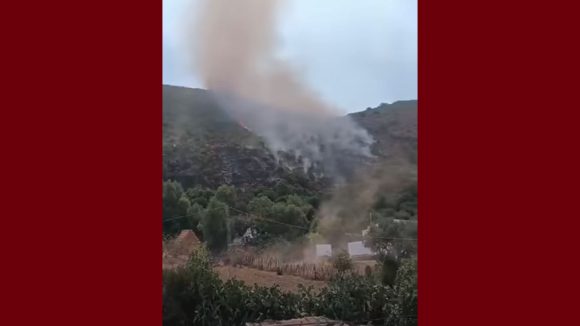 باجة: الحريق بجبل سيدي أحمد بنفزة يتوسع… و الجهود متواصلة لمحاصرته