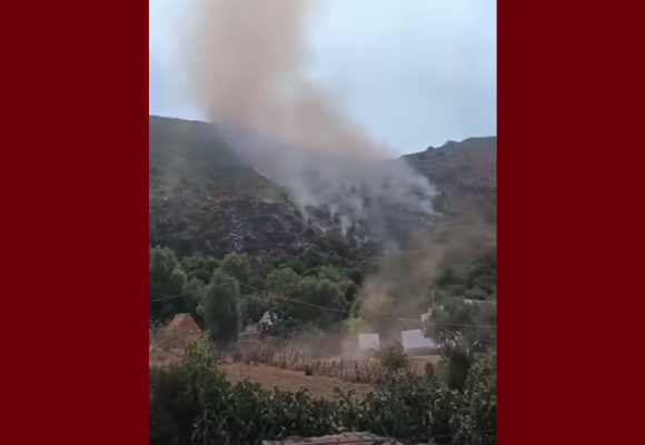 باجة: الحريق بجبل سيدي أحمد بنفزة يتوسع… و الجهود متواصلة لمحاصرته