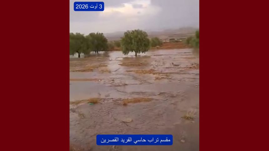 مرصد الطقس و المناخ: الثلاثاء 4 أوت يوم حار و ممطر على بعض المرتفعات
