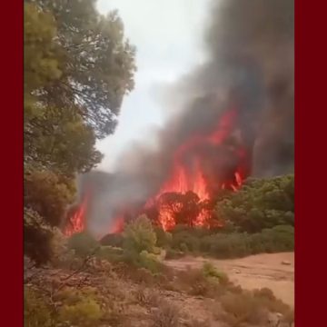 00 سليانة: الجهود متواصلة للسيطرة على حريق في جبل بولمان