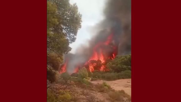 00 برقو: الجهود متواصلة للسيطرة على حريق جبل بولمان و لإجلاء عائلات من دوّار القواسمية