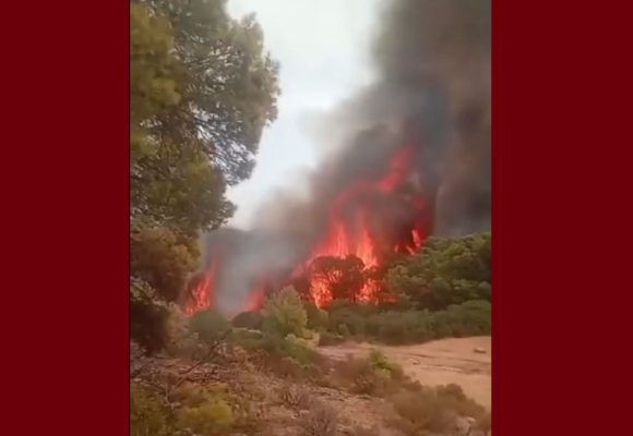سليانة: الجهود متواصلة للسيطرة على حريق في جبل بولمان