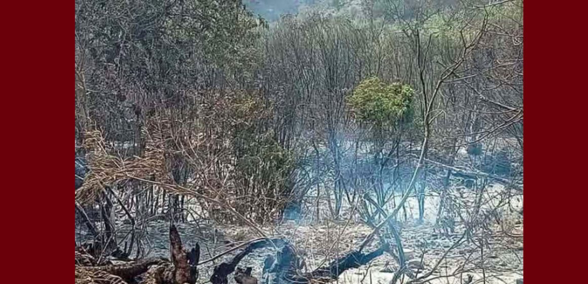 حريق جبل برقو حريق جبل برقو – عين بوسعدية/ توضيح حول سماع دويّ انفجارات من داخل الغابة