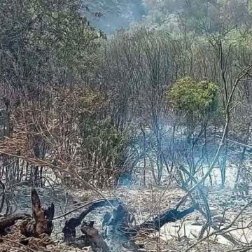 حريق جبل برقو – عين بوسعدية/ توضيح حول سماع دويّ انفجارات من داخل الغابة