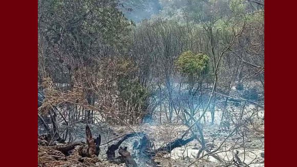 حريق جبل برقو حريق جبل برقو – عين بوسعدية/ توضيح حول سماع دويّ انفجارات من داخل الغابة