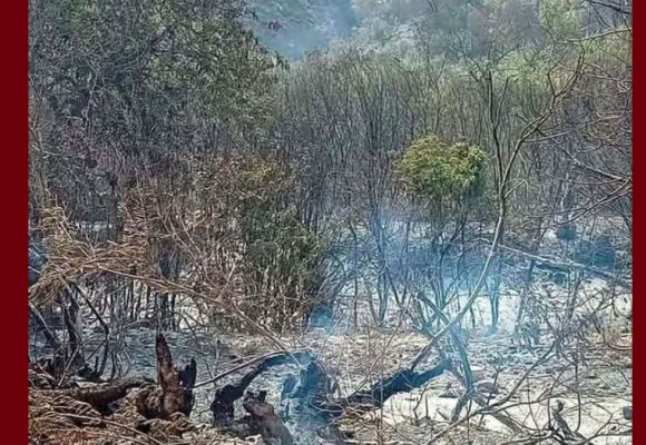 حريق جبل برقو – عين بوسعدية/ توضيح حول سماع دويّ انفجارات من داخل الغابة