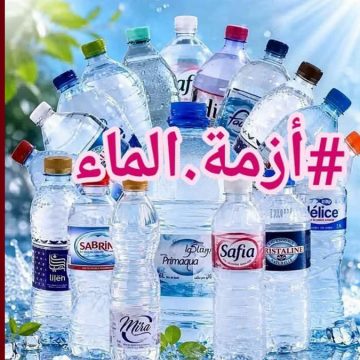 حمدي حشاد: كيفاش قرار من ترامب خلّى ستيكة الماء في تونس توصل لـ6 دنانير؟