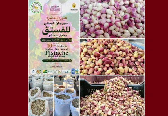 القصرين: ماجل بلعباس تحتفل بمهرجان الفستق في دورته العاشرة