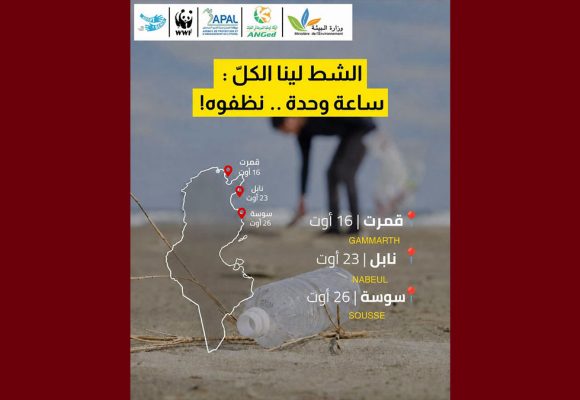 وزارة البيئة: التقييم نصف المرحلي لبرنامج تنظيف الشواطئ التونسية