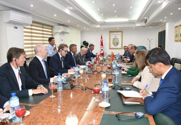 ️تطوير آفاق التعاون بين تونس والنمسا في مجالات الصناعة والطاقة