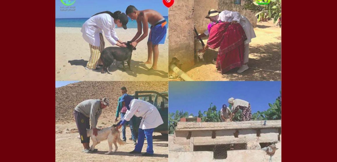 داء الكلب تونس تحيي اليوم العالمي ضد داء الكلب تحت شعار ” معا أقوى ضد داء الكلب “
