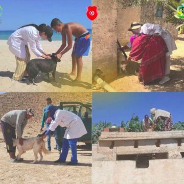 تونس تحيي اليوم العالمي ضد داء الكلب تحت شعار ” معا أقوى ضد داء الكلب “