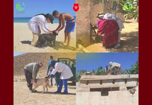 تونس تحيي اليوم العالمي ضد داء الكلب تحت شعار ” معا أقوى ضد داء الكلب “