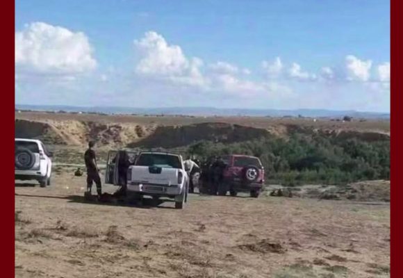 طينة-صفاقس: يرتكب جرائم قتل و يدفن ضحاياه بحديقة منزله