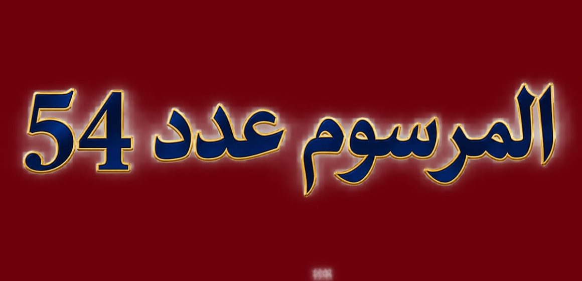 00 رأي الأستاذ المرزوقي في تنقيح الفصل 24 من المرسوم 54: “رفع العقوبة السجنية دون غلق باب السجن”