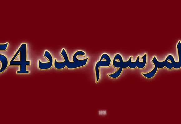 رأي الأستاذ المرزوقي في تنقيح الفصل 24 من المرسوم 54: “رفع العقوبة السجنية دون غلق باب السجن”