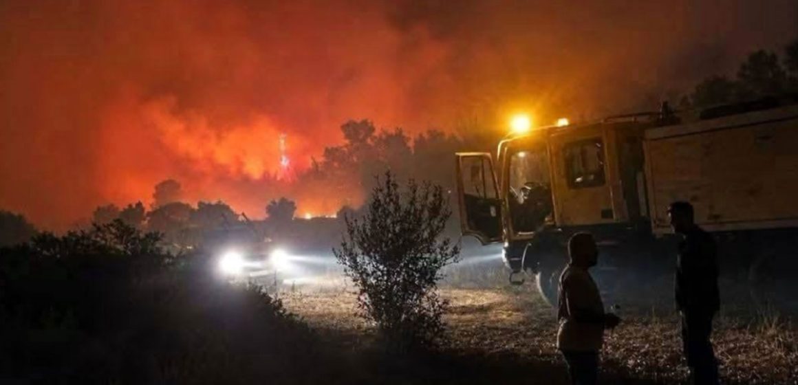 Incendie-Bargou حرائق الغابات و قصور السياسات البيئية في تونس
