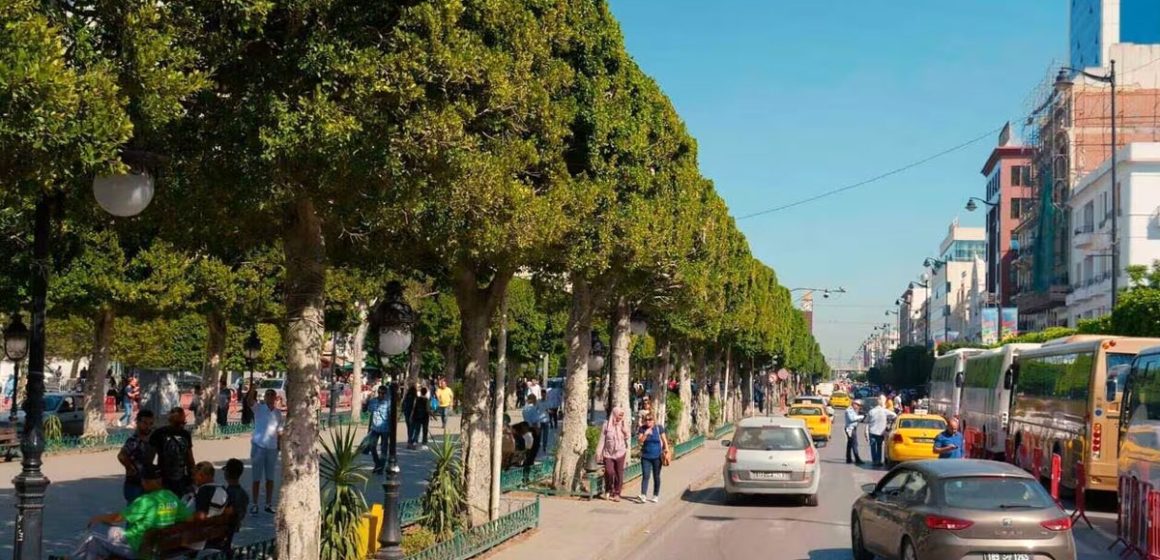 Tunis-centre-ville (3) يحدث فى تونس أيضاً : مخدرات و فساد أخلاقي و أشياء أخرى…