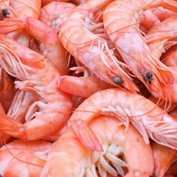 إيطاليا تدعو مورّديها إلى تعليق شراء الcrevettes التونسية إلى نهاية سنة 2026