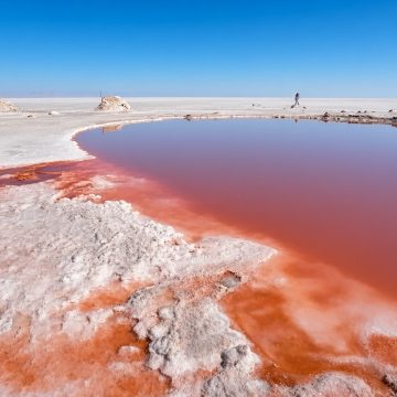 شط الجريد ليثيوم شطّ الجريد: أيّ سياسات مالية وبيئية لتحويل الإمكانيات الطبيعية إلى تنمية مستدامة؟