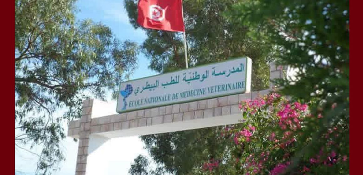 المدرسة الوطنية للأطباء البياطرة تقدم نفسها (صور)