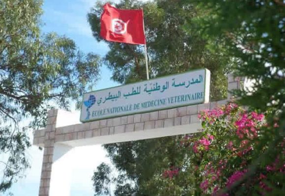المدرسة الوطنية للأطباء البياطرة تقدم نفسها (صور)