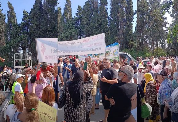 شؤون بيئية: أهالي منزل بوزلفة يطالبون بإيقاف نشاط وحدة صناعية لتربية الحشرات والذباب الأسود