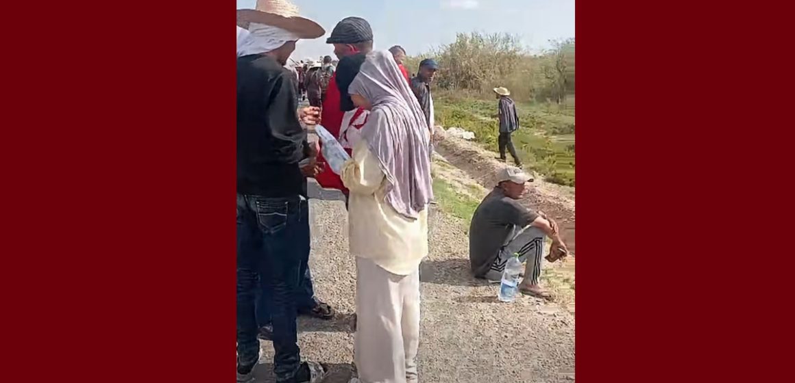 المعطلين أصحاب الشهائد العليا: توضيح حول مقترح الحافلة من رئاسة الجمهورية