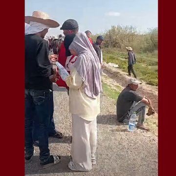 المعطلين أصحاب الشهائد العليا: توضيح حول مقترح الحافلة من رئاسة الجمهورية