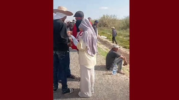 المعطلين أصحاب الشهائد العليا: توضيح حول مقترح الحافلة من رئاسة الجمهورية