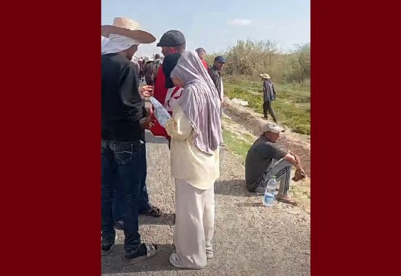 أصحاب الشهائد العليا: توضيح حول مقترح الحافلة من رئاسة الجمهورية