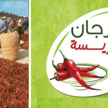 قريبا بنابل: مهرجان الهريسة في دورته الثانية عشر: عرض و بيع على مدى 3 أيام