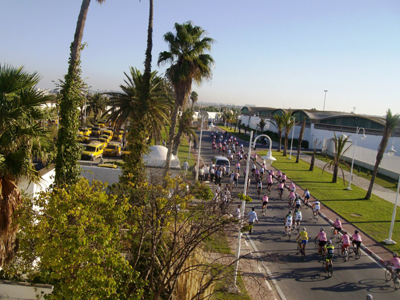 Les cyclistes traversent les ruelles de Tunis