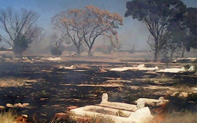 Incendie dans un cimetière à Jebeniana