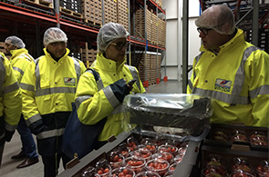 Marché des fruits et légumes aux Pays Bas