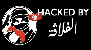 Hackers Fallaga