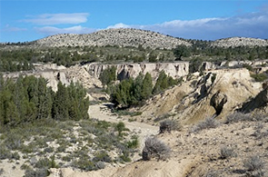 Parc national de Jebel Serj