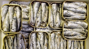 Boites-de-sardines