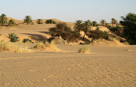 Desertification-Banniere