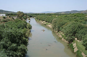 Oued-Medjerda