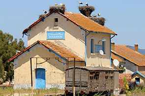 Vieille-gare-de-sejnane