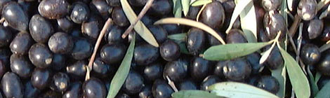 olives