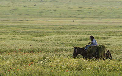 Agriculture-paysanne