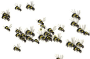 essaim-abeilles