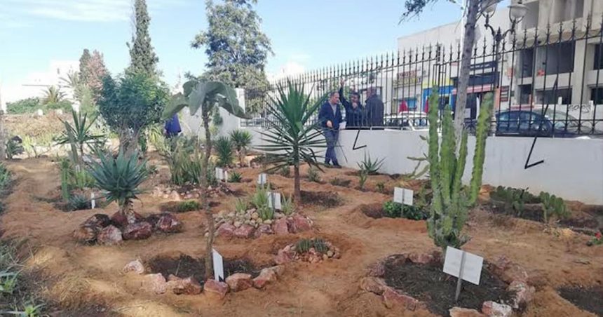 La journée mondiale de la biodiversité passée inaperçue en Tunisie
