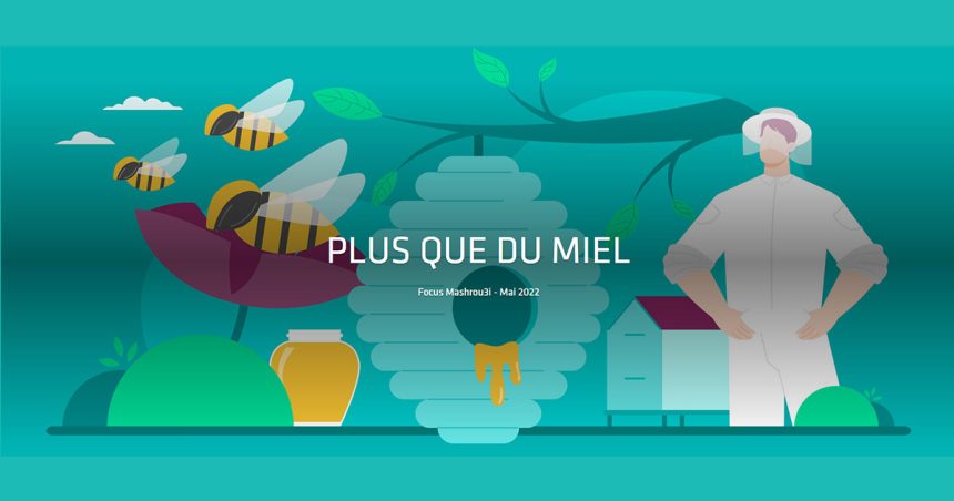 Tunisie : les apiculteurs aux petits soins pour les abeilles