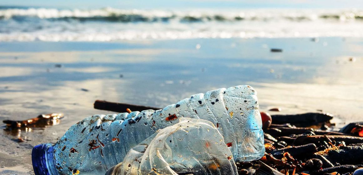 Tunisie – Tourisme : que fait-on pour la propreté des plages ?