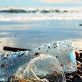 Tunisie – Tourisme : que fait-on pour la propreté des plages ?