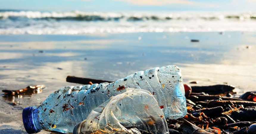 Tunisie – Tourisme : que fait-on pour la propreté des plages ?